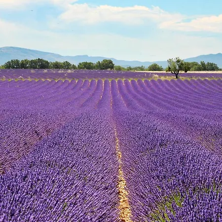 Le Petit Vallon Allemagne-en-Provence